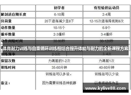 体育耐力训练与自重循环训练相结合提升体能与耐力的全新课程方案